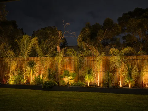 Warm garden lighting uplighting palms and a timber fence at night